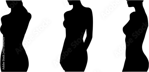 Sexy Woman Silhouette
