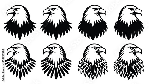 Eagle Head Illustrations Black White bird black and white