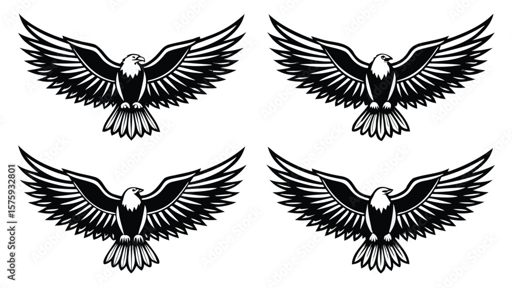 Fototapeta premium Majestic eagles soaring with outstretched wings bird