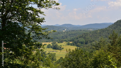 Pfälzer Wald_048