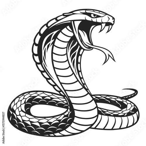 Black and White Cobra Snake Tattoo Style Illustration
