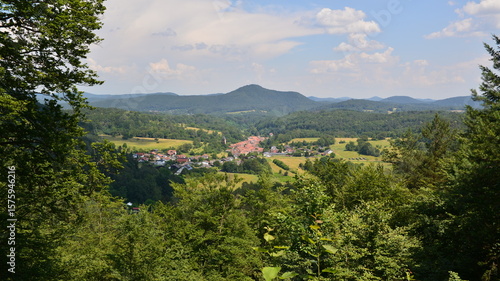 Pfälzer Wald_046
