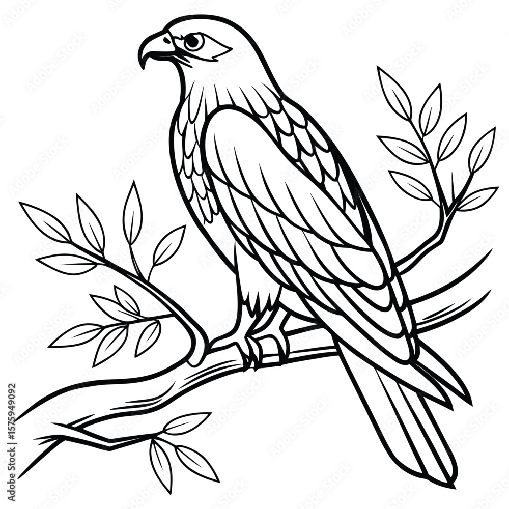 Obraz premium Line Art Eagle Perched on Branch Coloring Page White Background