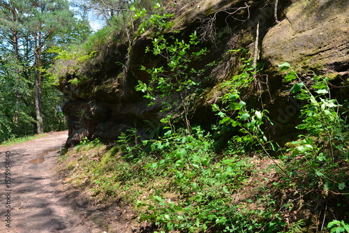 Pfälzer Wald_041