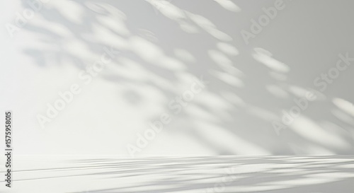 Abstract minimal empty black and white 3d room background. Modern Studio showcase with copy space. Mock up scene with natural plants, tree shadows, dappled light overlay effect. Front view, copy space