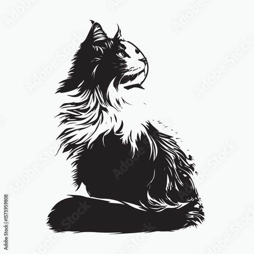 black cat vector illustration