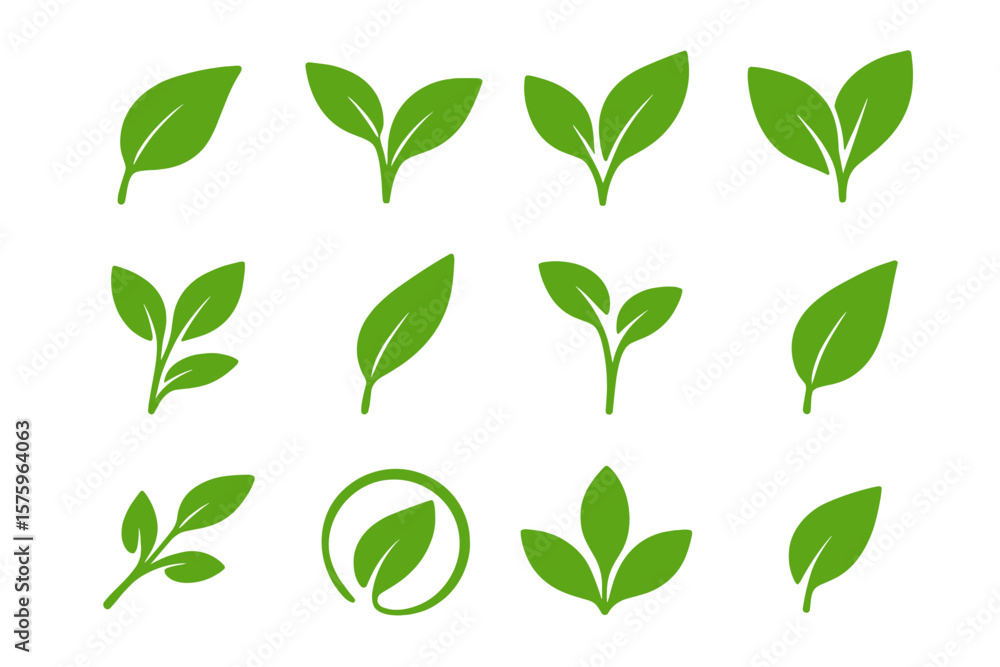 Green leaves icons set in flat style. Vector collection for graphic design. Environment and nature eco sign. Organic, vegan, bio product symbol. Ecology nature plant element. Green leaves icons set in flat style. Vector collection for graphic design. Environment and nature eco sign. Organic, vegan, bio product symbol. Ecology nature plant element.