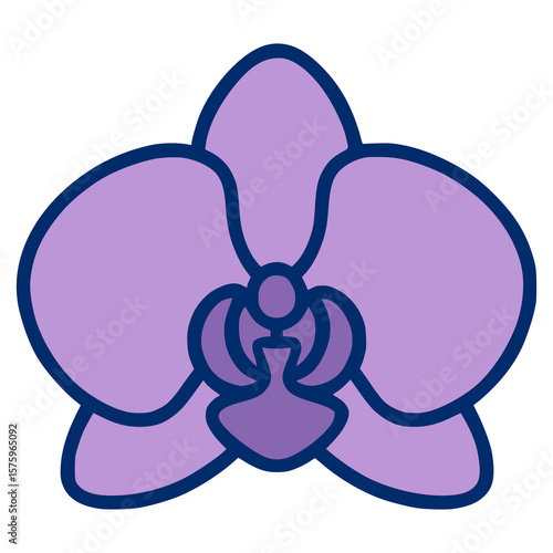 purple orchid plant flora flat color vector illustration template design