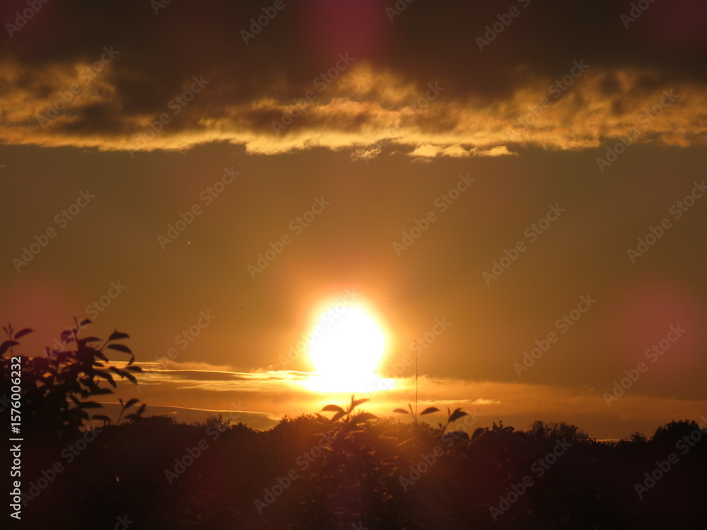 Obraz premium sunset among the trees