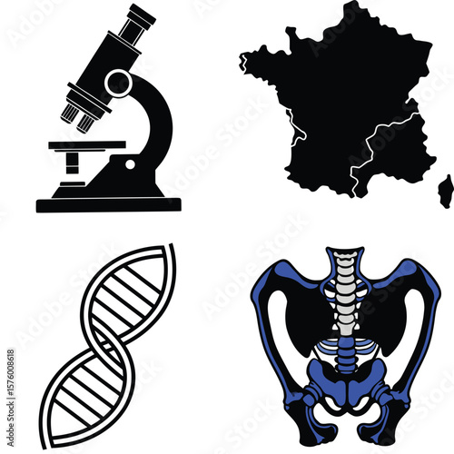 Vector art of a collage of scientific and geographical symbols featuring a microscope, map of france, dna strand, and pelvis