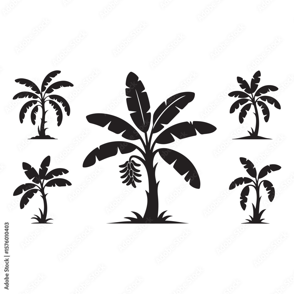 Obraz premium palm tree vector