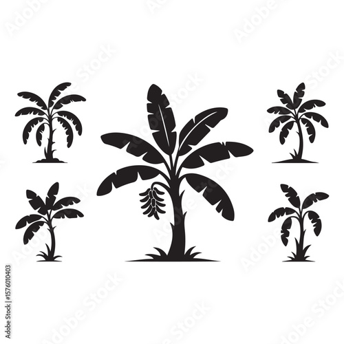 palm tree vector