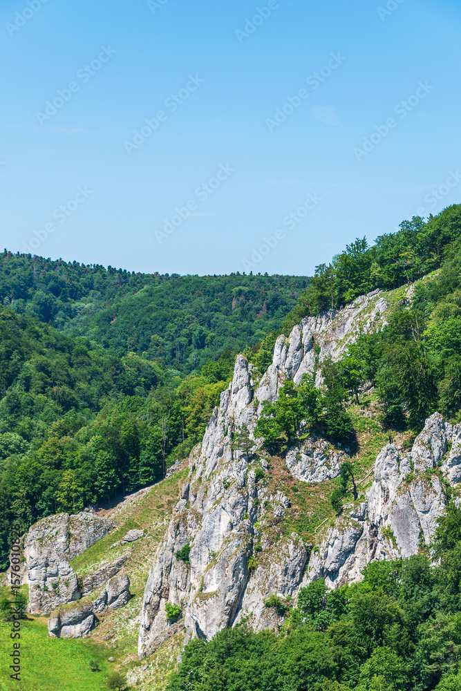 Naklejka premium Scenic rocky cliffs with lush green forest under clear blue sky. Ojcow National Park