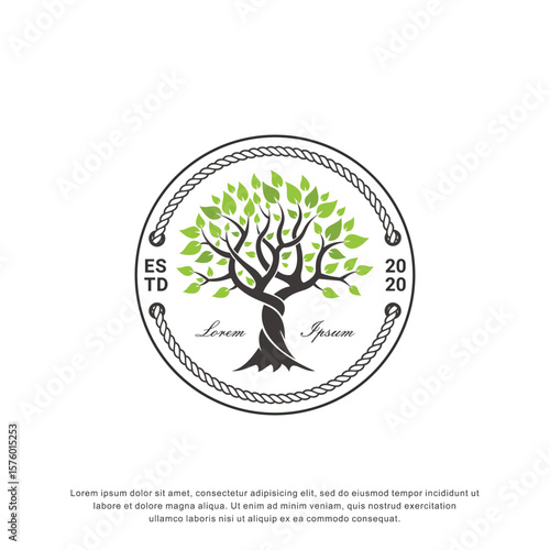 tree logo with rope circle badge, perfect for business and consulting company logos