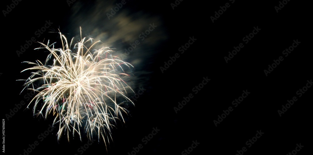 Obraz premium fireworks in the night sky