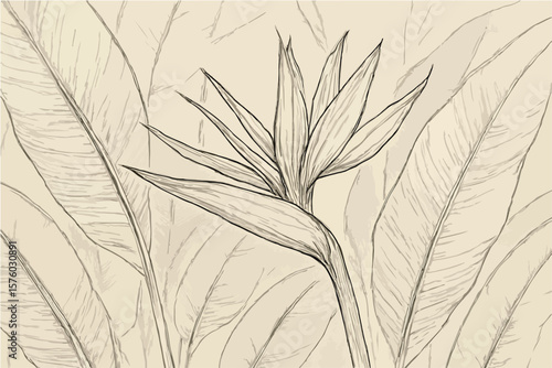 Elegant sketch of a bird of paradise flower with detailed line art against a background of large stylized tropical leaves in muted sepia tones