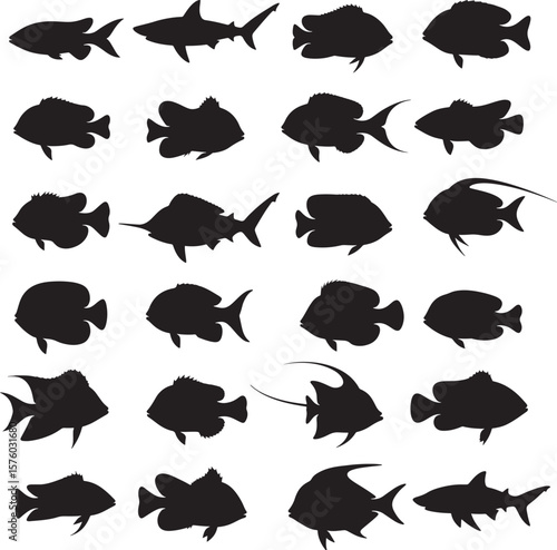 Set of Fish Icons Marine Creatures Vector Art