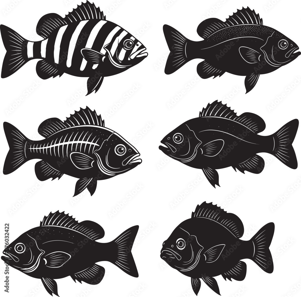 Naklejka premium The first image is a leaping bass fish and the second image features a collection of various fish silhouettes