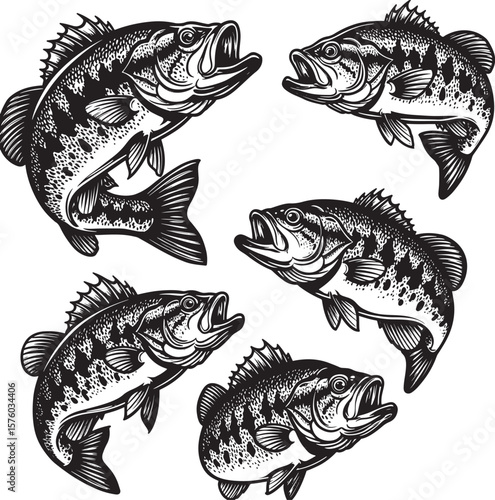 Tuna Fish Vector Illustration Circle Design Ocean Seafood  