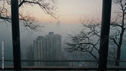 Foggy Cityscape: An urban landscape is shrouded in a thick veil of fog, creating an atmosphere of mystery and solitude, with skeletal branches framing the imposing high-rise buildings.