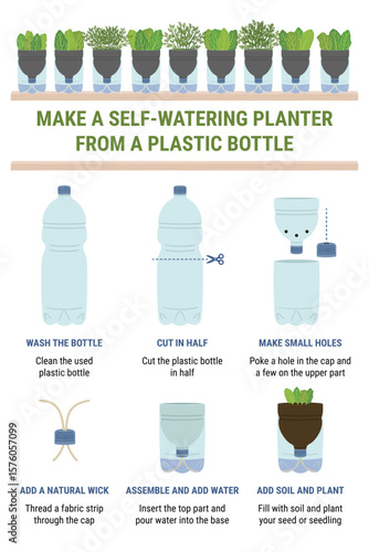 Infographic of self-watering plastic bottle planter on white background. Vertical garden, urban farming concept. Hand-drawn vector illustration
