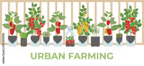 Banner of DIY self-watering plastic bottle planters with vegetables and greens at home balcony. Vertical garden, urban farming concept. Hand-drawn vector illustration