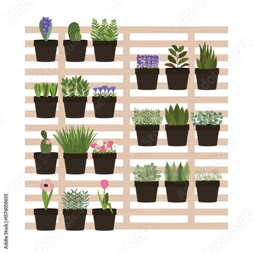 Illustration of planters with plants and flowers at home. Vertical urban garden concept. Hand-drawn vector illustration
