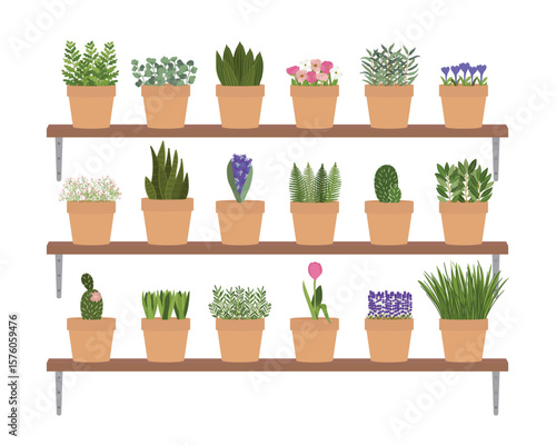 Illustration of planters with plants and flowers at home shelves. Vertical urban garden concept. Hand-drawn vector illustration