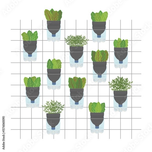 Self-watering plastic bottle planters on white background. Vertical garden, urban farming concept. Hand-drawn vector illustration