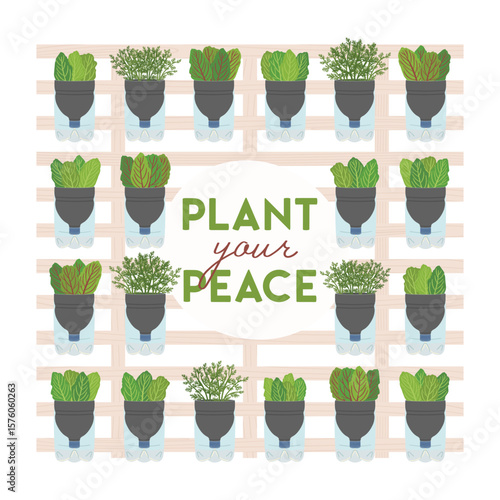 Plant your peace phrase. Set of self-watering plastic bottle planter on white background. Vertical garden, urban farming concept. Hand-drawn vector illustration