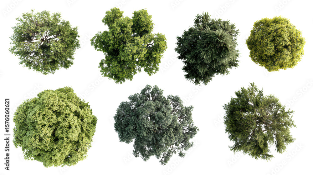 Obraz premium A variety of lush, green trees displayed from above, showcasing different shapes and textures.