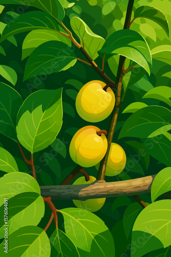 This is a digital illustration of a plum tree, specifically the Japanese apricot or "ume" tree. The image features several ripe yellow-green plums hanging from branches surrounded by rich green foliag