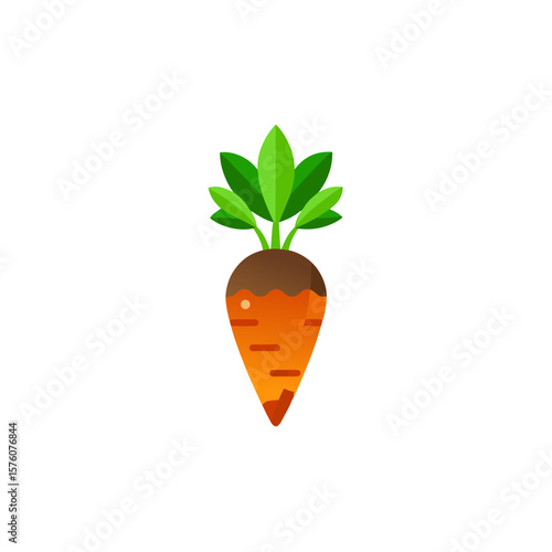organic carrot fresh with leafy green top