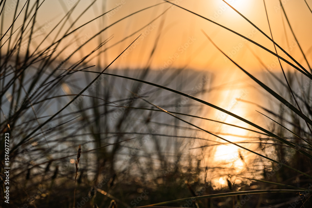 Obraz premium Tall grass is silhouetted against a blurry background of water and a bright sunset or sunrise. The sun's light reflects on the water, creating a shimmering effect behind the dark blades of grass