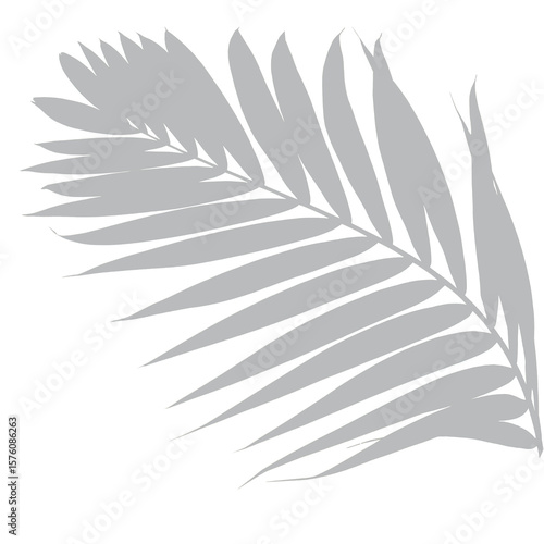 Minimalist line art of a palm frond on a muted gray background
