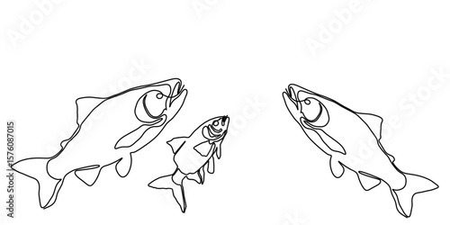 Fish line salmon art vector continuous icon tuna drawing trout seafood. Salmon line fish one simple hand outline illustration water type food hook linear sea fin pond day sketch silhouette logo ocean.