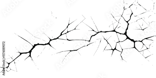 Broken glass hole in a winter tree branch silhouette with a floral crack pattern