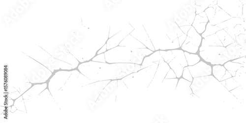 A cracked glass with a hole reveals a silhouetted tree branch against a grunge texture