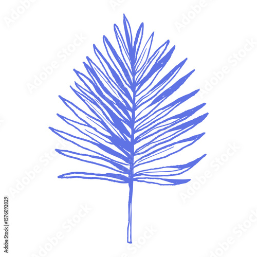 Tropical palm leaf illustration in hand drawn chalk blue sketch style. Exotic botanical doodle vector outline element for prints, natural decor, summer resort branding. 
