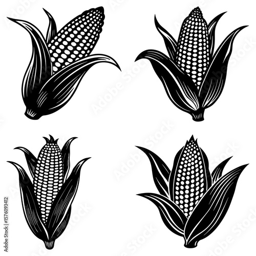 Four black and white corn cobs with husks in varying orientations on a white background illustration