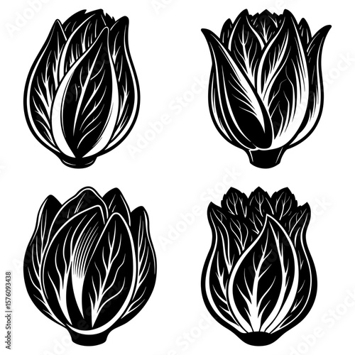Four stylized black and white cabbage heads with detailed leaf patterns in a simple arrangement