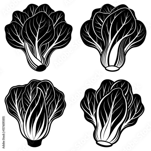Four bok choy heads displayed in a square arrangement with detailed line work in black and white color scheme