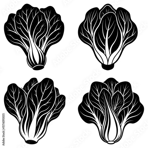 Illustration of four bok choy vegetables with detailed leaf venation in a monochrome black and white design