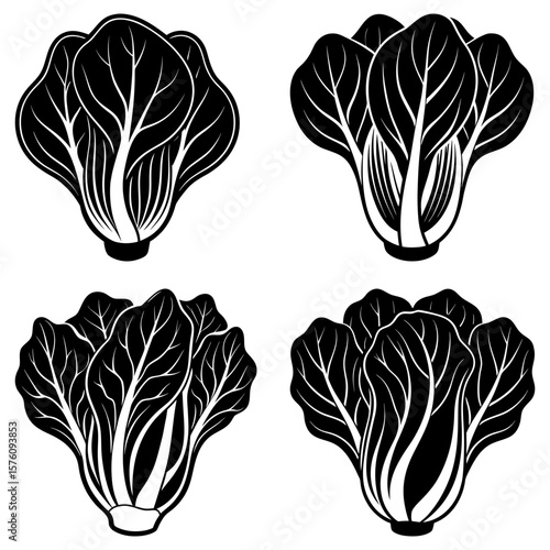 Four bok choy heads in black and white with detailed leaf veins and a clean, minimalist presentation