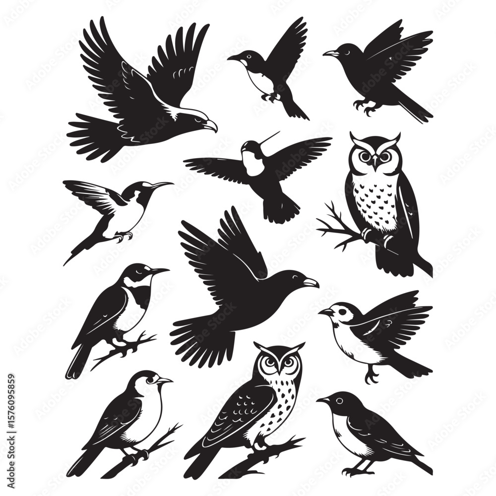 Obraz premium set of vector birds