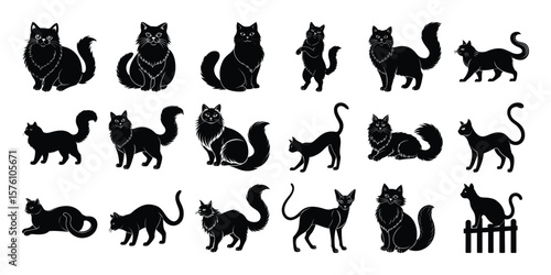 Various Black Cat Silhouettes