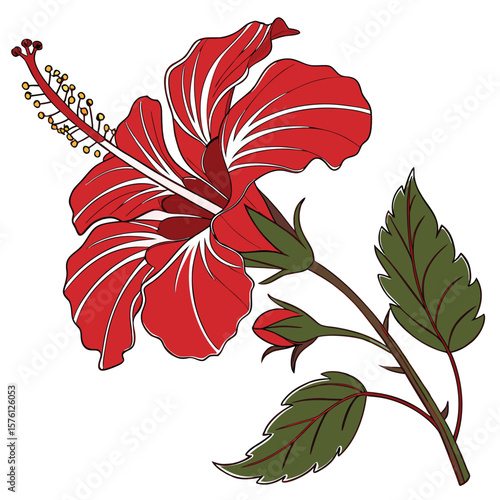 A bold, multi-layered red hibiscus bloom, with its striking form and rich color, exuding tropical flair.
