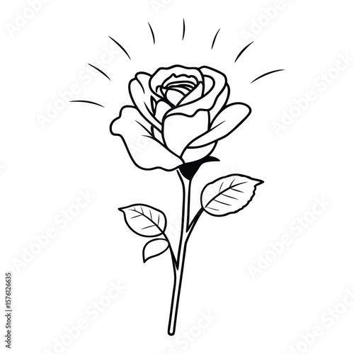 A classic white rose, isolated, minimalist, on a clean background, symbolizing purity and timeless elegance.