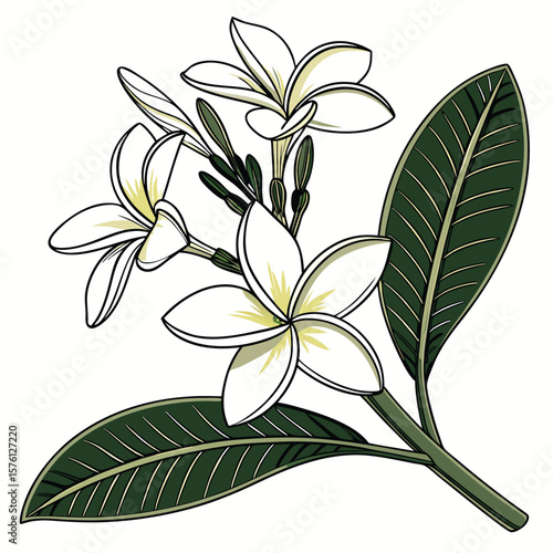 A fragrant white gardenia, with its waxy petals perfectly unfurled, exuding a luxurious and sweet aroma.