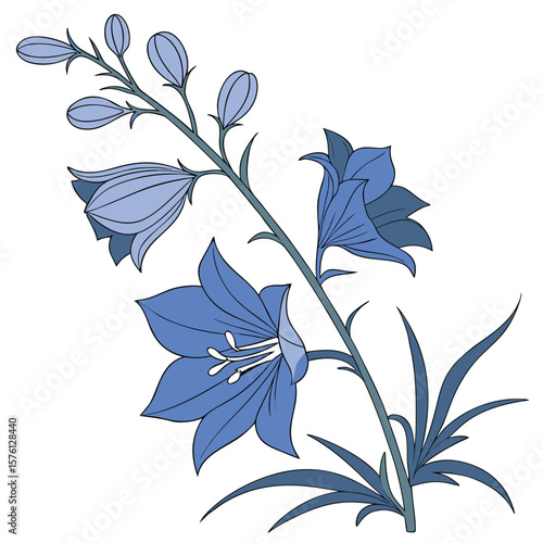 A single elegant blue delphinium floret, perfectly formed with its intricate petals, a vibrant touch of color.